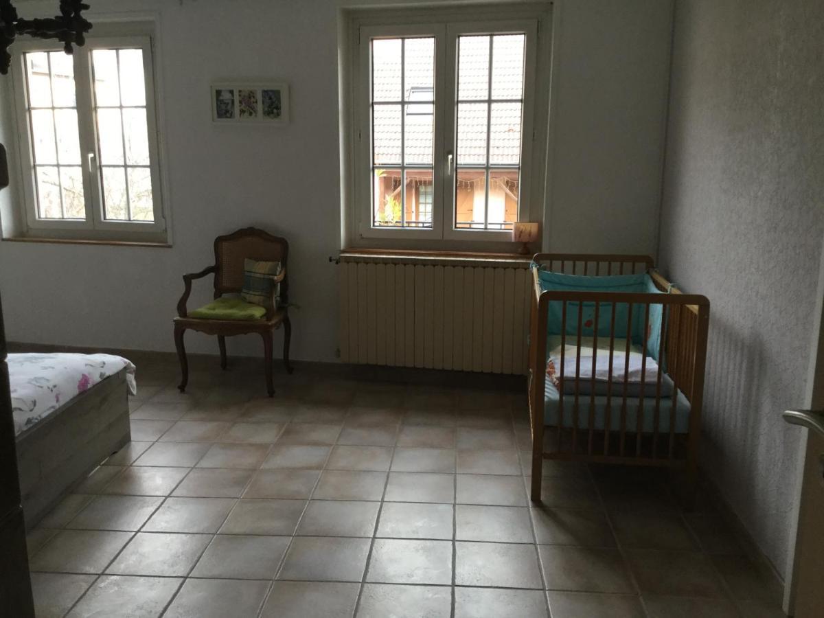Gite Du Moulin Ingersheim Εξωτερικό φωτογραφία